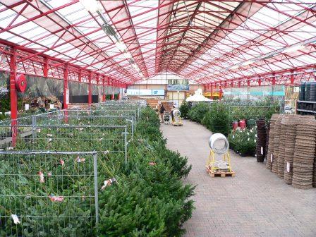 Kerstbomen te koop in Tuincentrum Borghuis, nabij Enschede