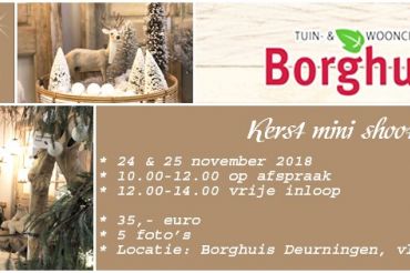 Kerst mini-shoot
