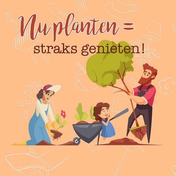 Het najaar is hét perfecte moment om te planten!