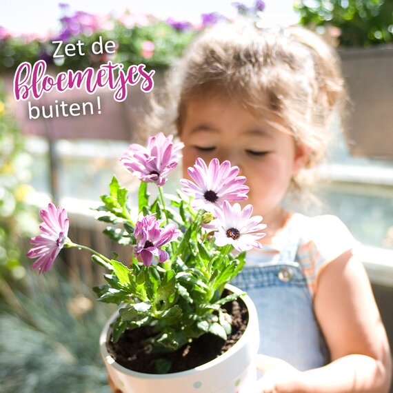 In ons tuincentrum vind je de mooiste tuinplanten!