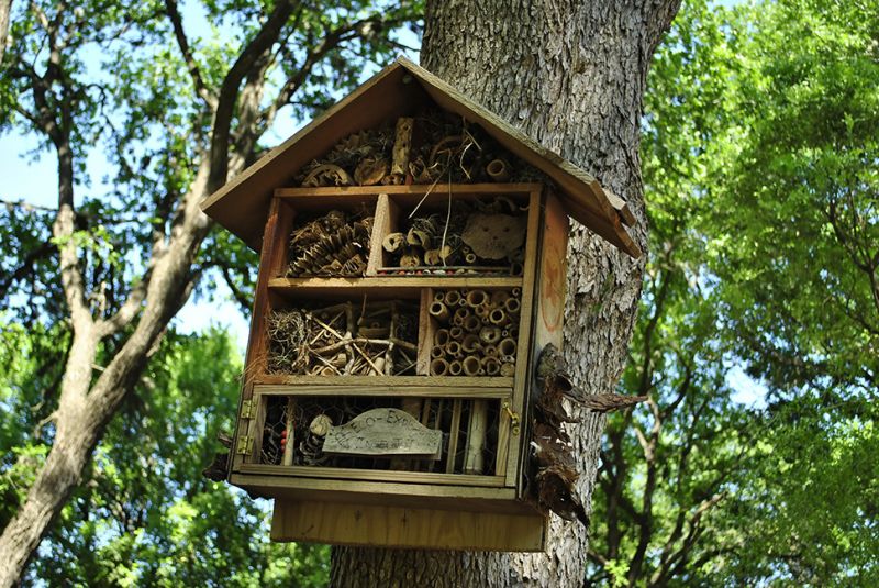 5 tips voor het maken van een insectenhotel Tuincentrum Tips voor de herfstvakantie! Tuincentrum Borghuis