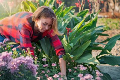 APK voor de (na)zomertuin