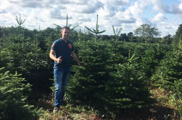 Kerstbomen reisverslag