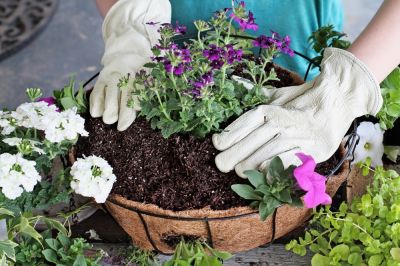 Ga voor een fleurige hanging basket