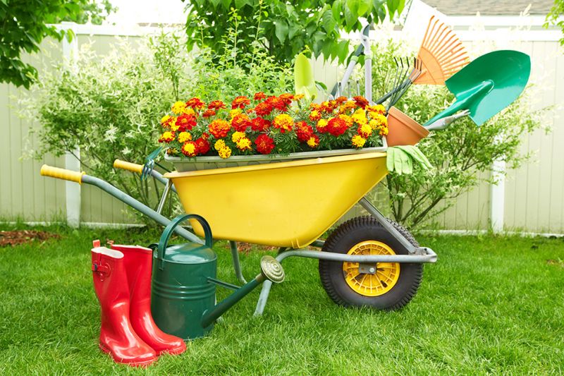 Ontspannen tuinieren is supergezond Tuincentrum Borghuis Tips voor de herfstvakantie! Tuincentrum Borghuis