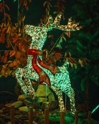 Christmas World 2025