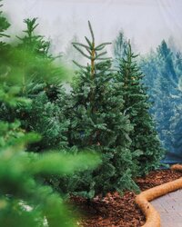 Christmas World 2025