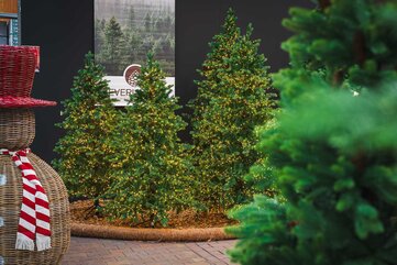 Christmas World 2025