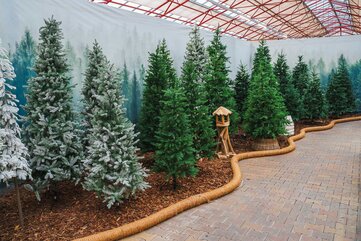 Christmas World 2025