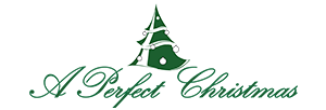 A Perfect Christmas