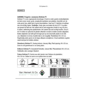 Aardbei Delician - afbeelding 2