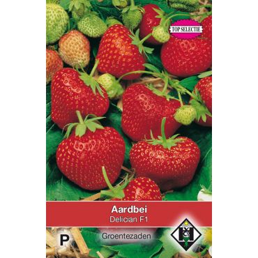 Aardbei Delician - afbeelding 1