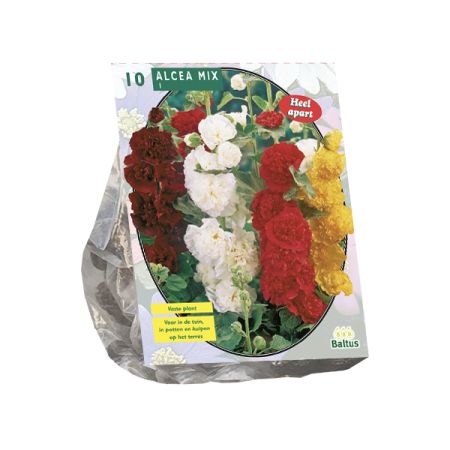 Alcea mix 10st