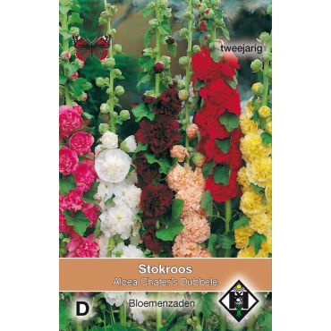 Alcea rosea plena Chater's Dubbele - afbeelding 2