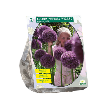 Allium Pinball Wizard per 2