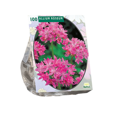 Allium Roseum per 100