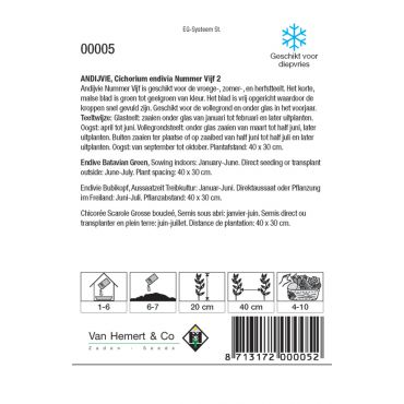 Andijvie Nr. 5 - afbeelding 2