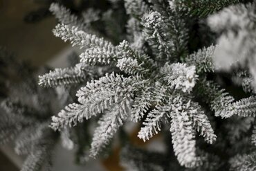 Kustkerstboom Andorra besneeuwd 228 cm - afbeelding 2