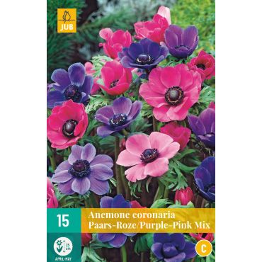 Anemone cor. Paars-Roze Mix