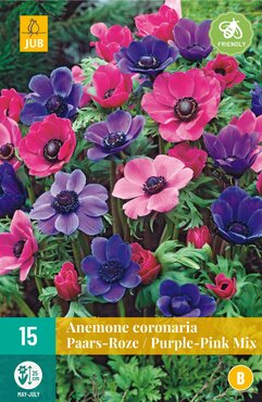 Anemone Coronaria Paars-Roze mix