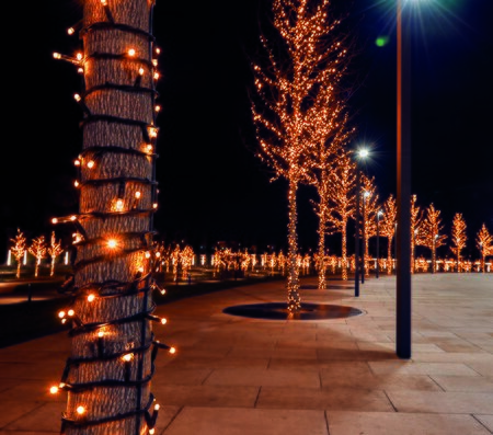 Anna's Collection Kabel met 100 LEDs - afbeelding 1