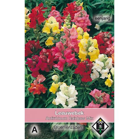 Antirrhinum majus Rainbow Mix - afbeelding 1