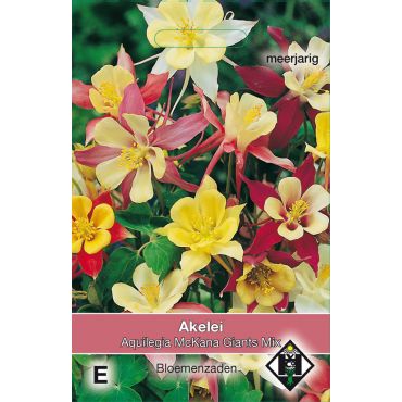 Aquilegia caerulea McKana Giants - akelei - afbeelding 1