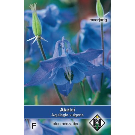 Aquilegia vulgaris - afbeelding 1