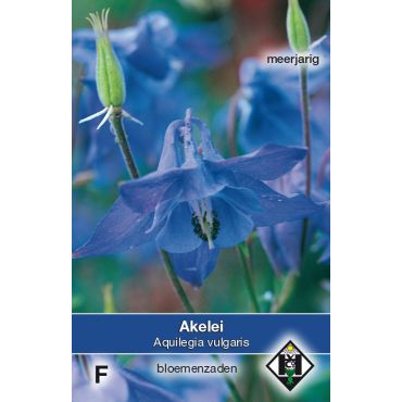 Aquilegia vulgaris - afbeelding 1