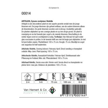 Artisjok Violette - afbeelding 2