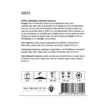 Aster chinensis Surpresso - afbeelding 2