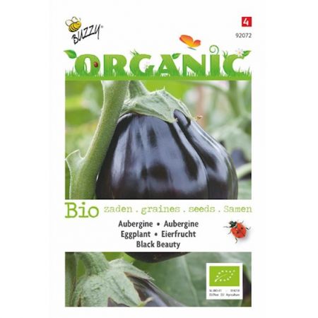 Aubergine Black Beauty (BIO) - afbeelding 1