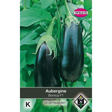 Aubergine Bonica F1 - afbeelding 1