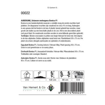 Aubergine Bonica F1 - afbeelding 2