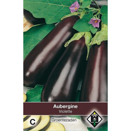 Aubergine Halflange Violette - afbeelding 1