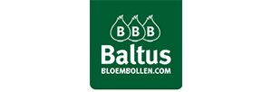 Baltus Bloembollen