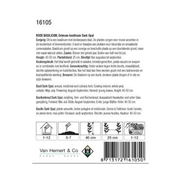 Basilicum Dark Opal / Ocimum - afbeelding 2