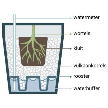 Beautanic hydropot Ø27 cm - afbeelding 2