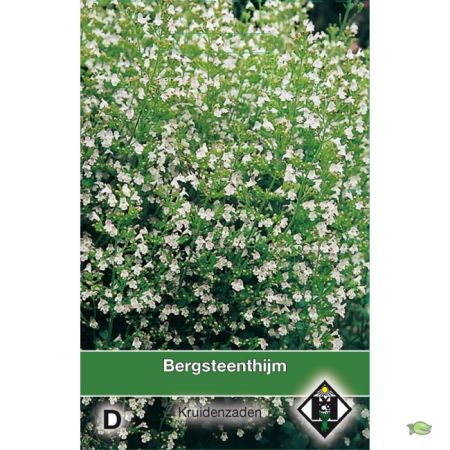 Bergsteen tijm / Calamintha - afbeelding 1