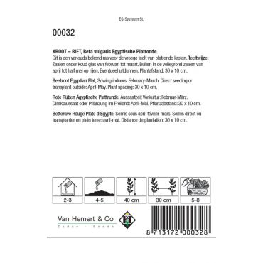 Biet - Kroot Egyptische Platronde - afbeelding 2