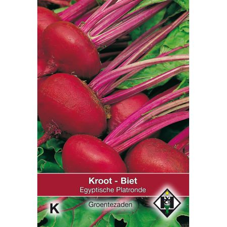 Biet - Kroot 'Egyptische Platronde', 20 gr. - afbeelding 1