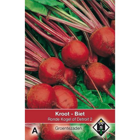 Biet - Kroot Kogel of Detroit 2 - afbeelding 1