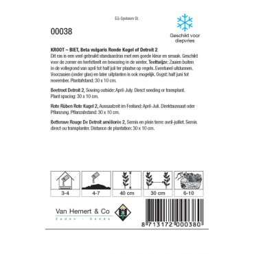 Biet - Kroot Kogel of Detroit 2 - afbeelding 2