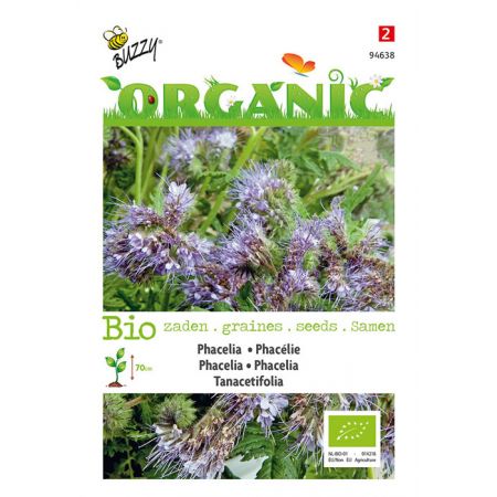 Phacelia, Bijenvoer (BIO) - afbeelding 1