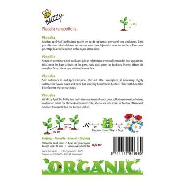Phacelia, Bijenvoer (BIO) - afbeelding 2