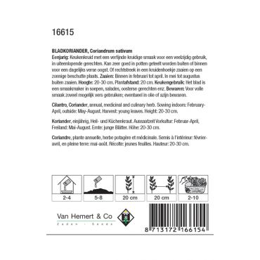 Bladkoriander / Coriandrum - afbeelding 2