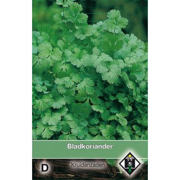 Bladkoriander / Coriandrum - afbeelding 1