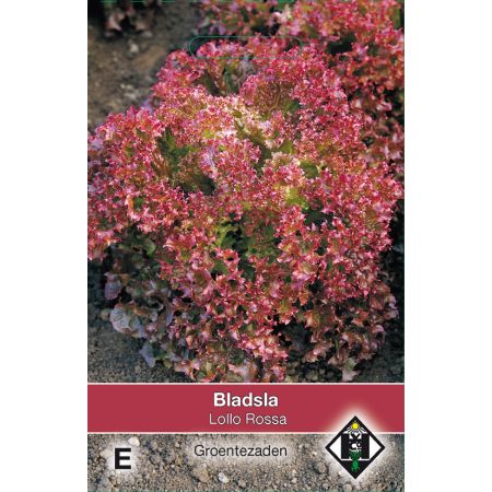 Bladsla Lollo Rossa - afbeelding 1
