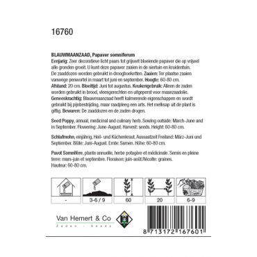 Blauwmaanzaad - afbeelding 2