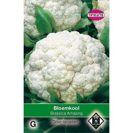 Bloemkool Amazing - afbeelding 1